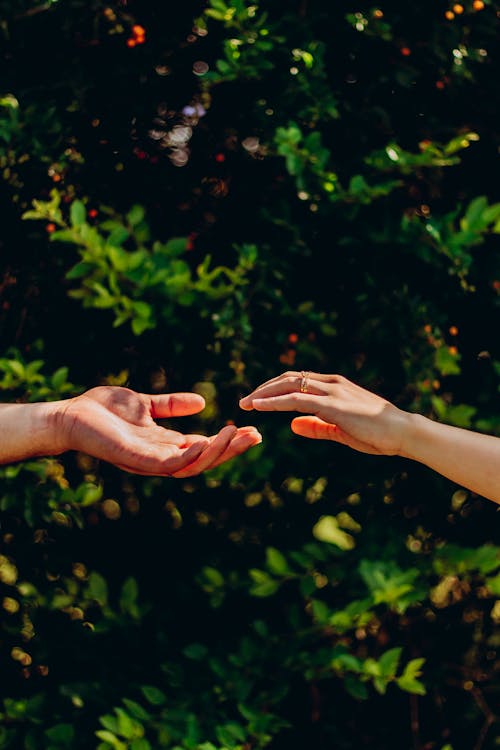 Couple Hands near each other