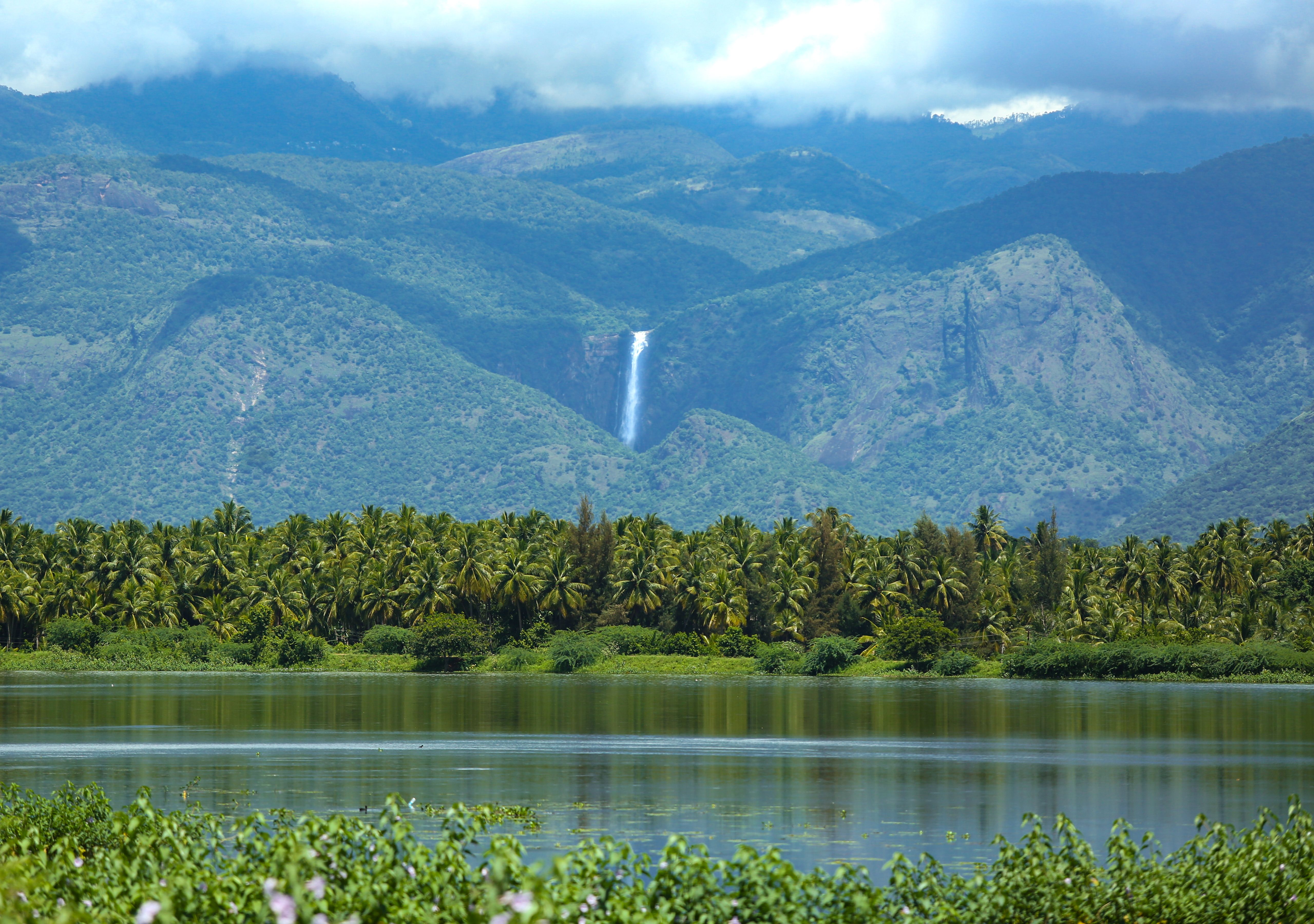 Theni