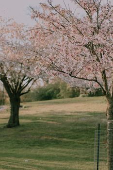 Image by Yasemin Gunes