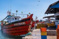 Fishing boats with Indian flags docked at a bustling harbor on a sunny day.