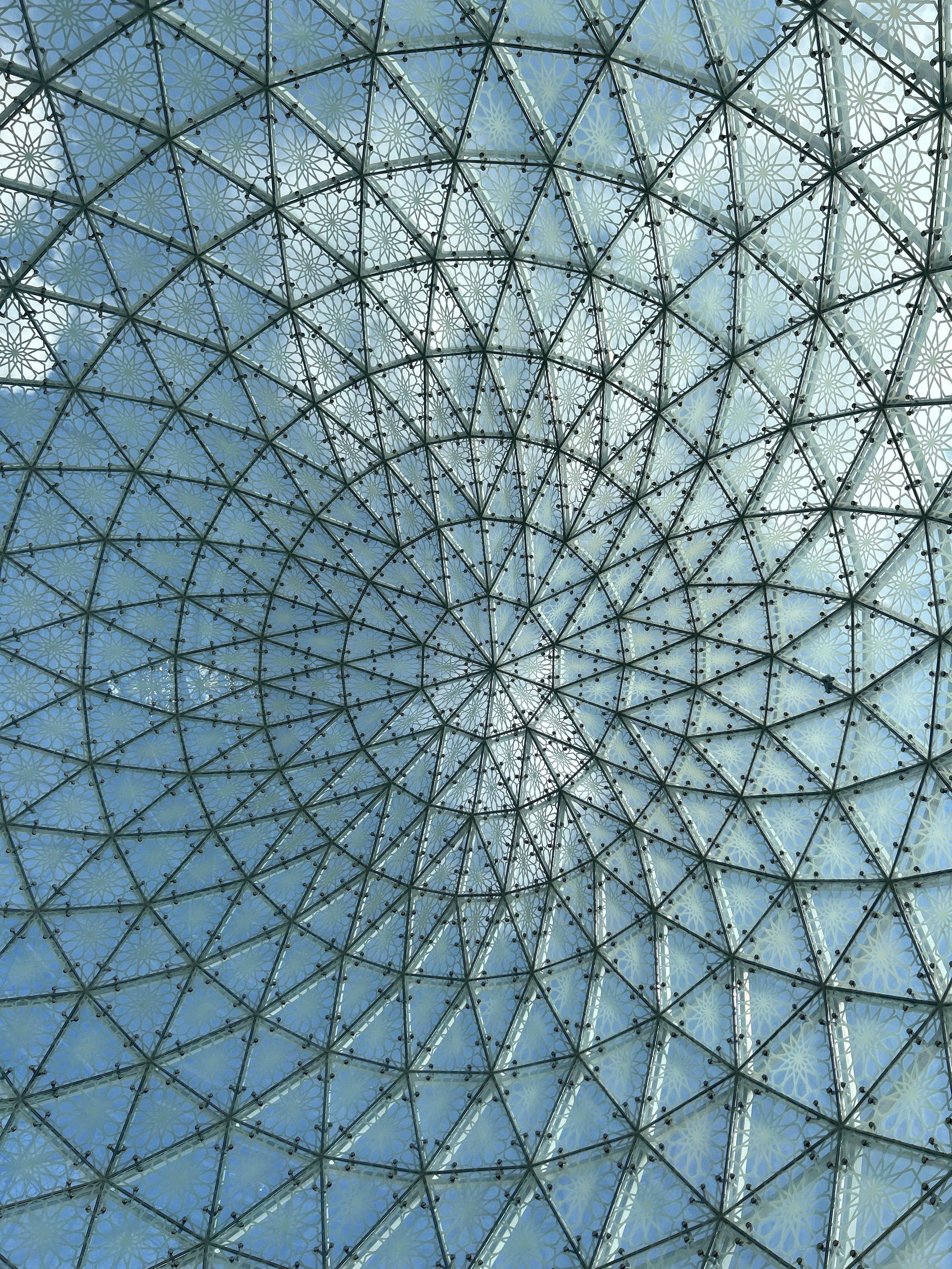 Picture Taken from the Inside of a Glass Dome · Free Stock Photo