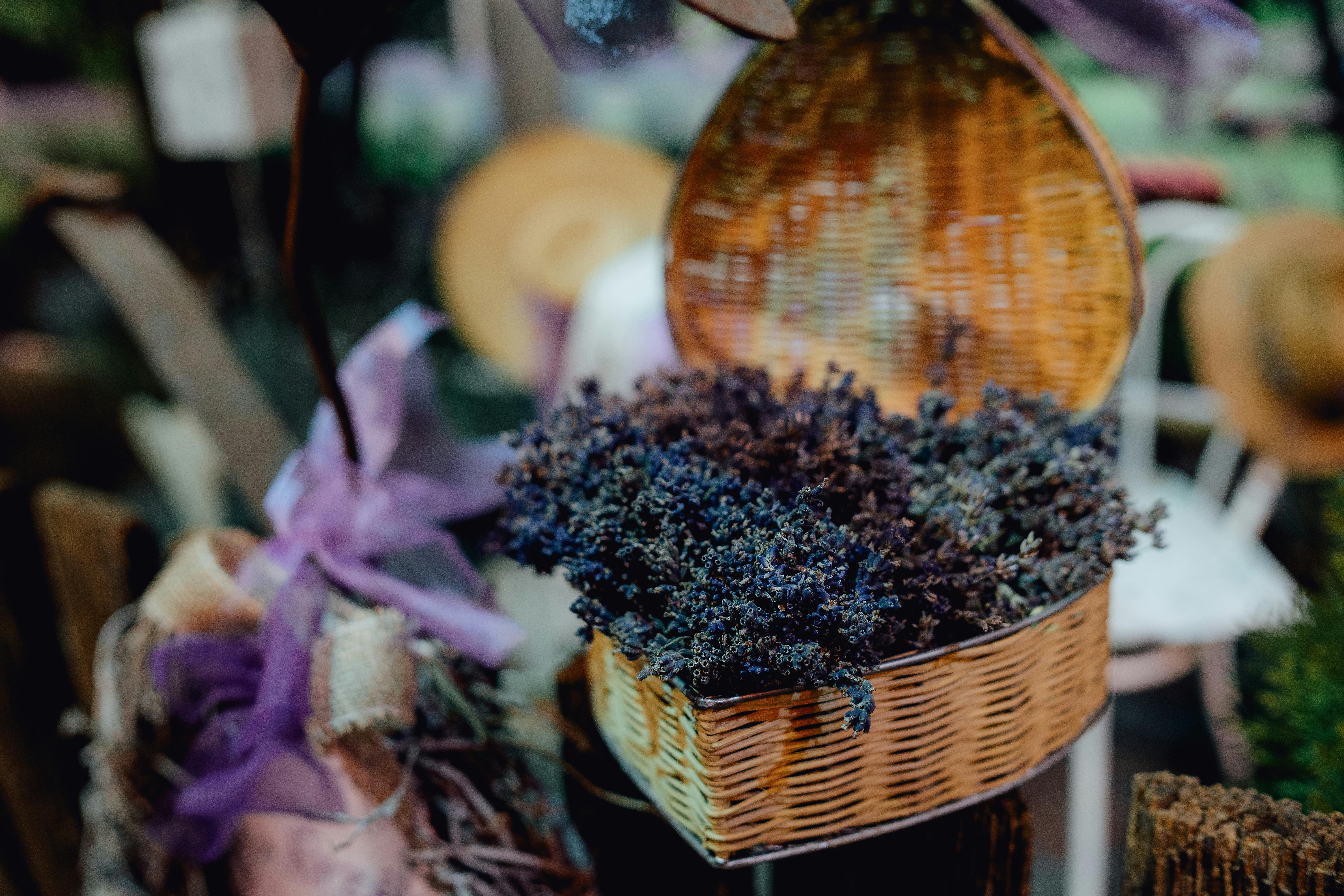 Charming wicker basket filled with fresh lavender blooms, perfect for floral decor and rustic themes.