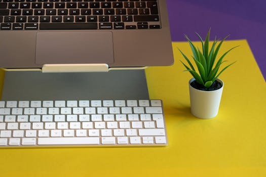A minimalist desktop setup featuring a laptop, keyboard, and a small green plant on a vibrant background.