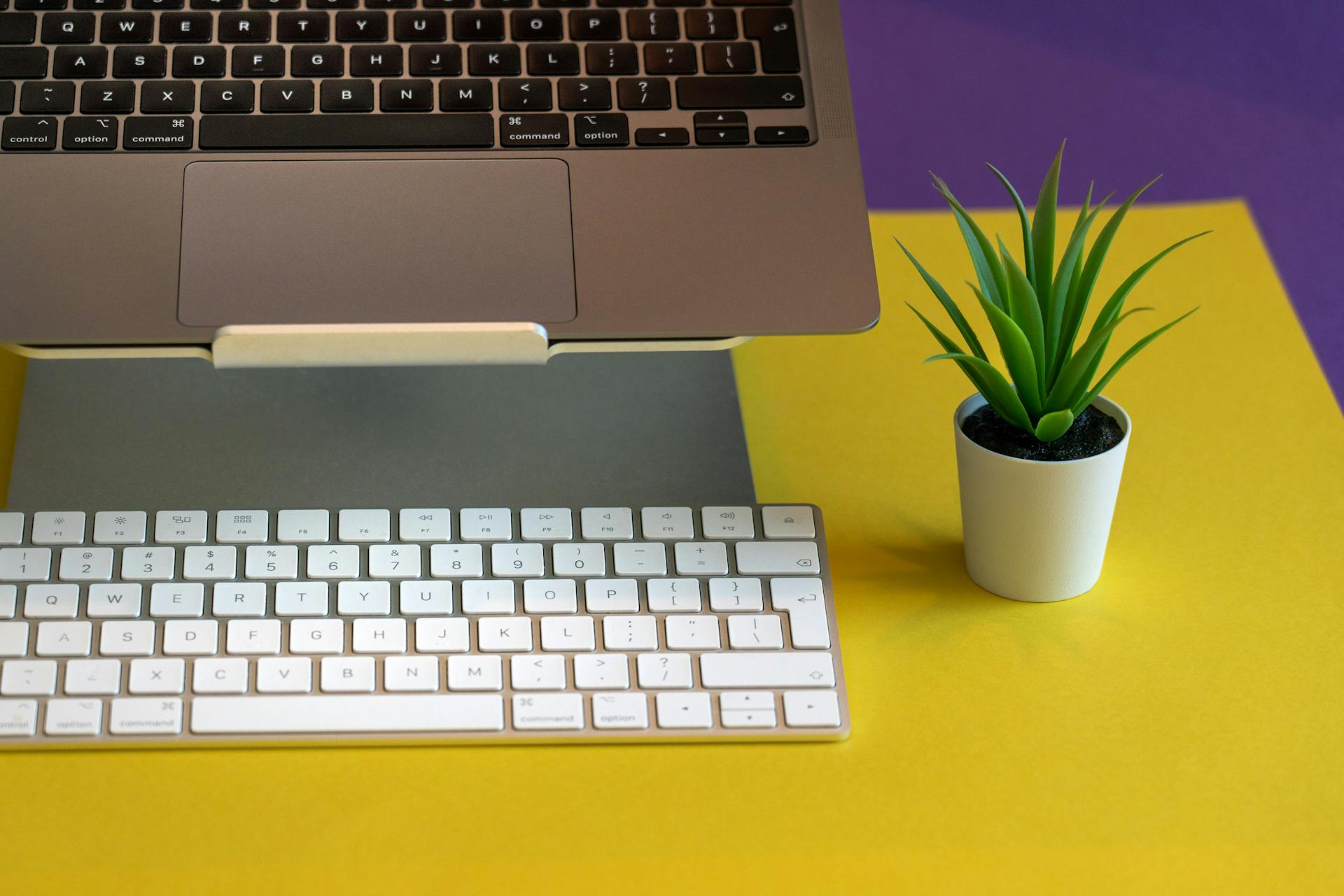 A minimalist desktop setup featuring a laptop, keyboard, and a small green plant on a vibrant background.