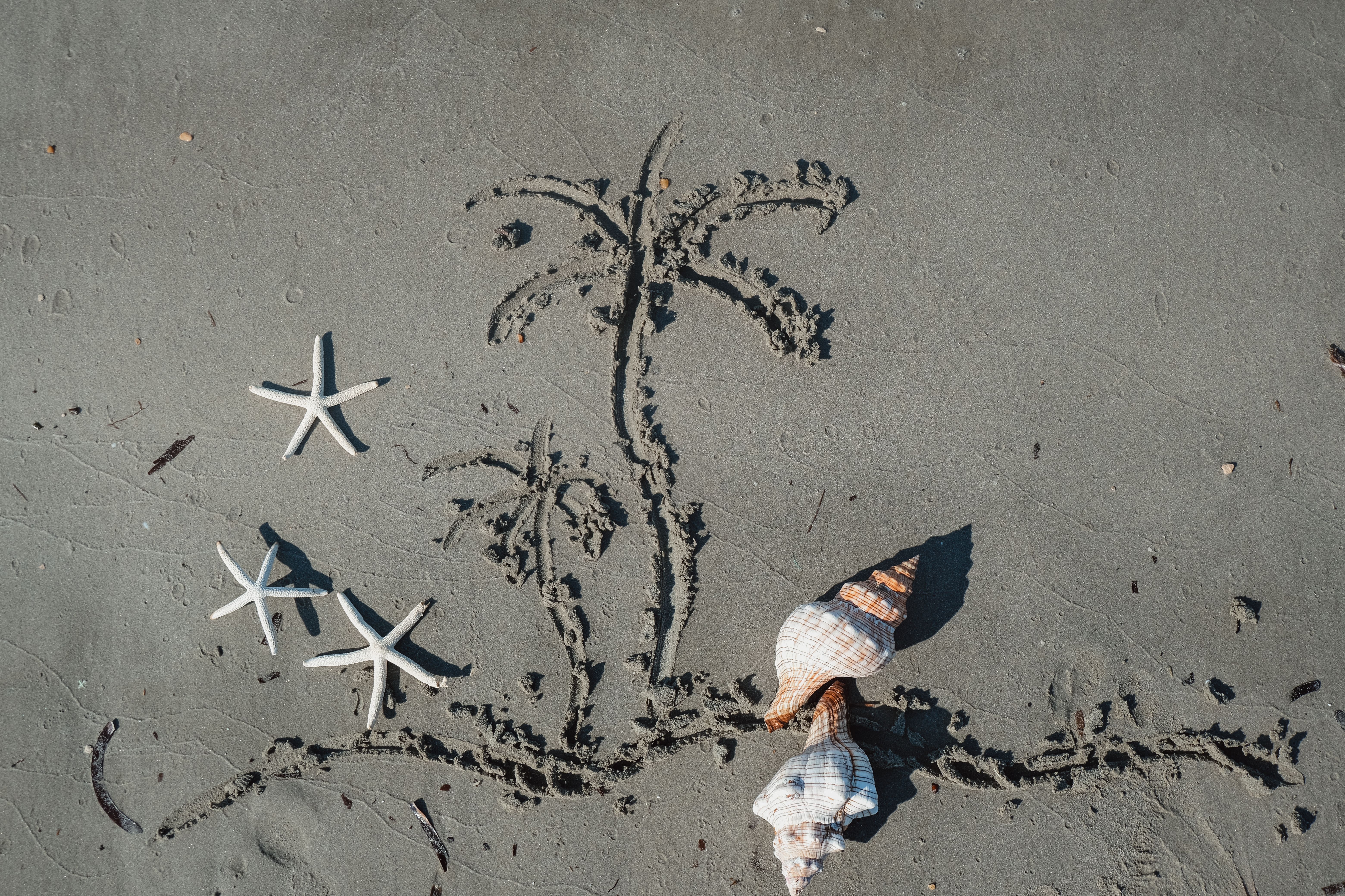 Rhode Island Creamery Becomes a Beloved Summer Destination for Beachgoers