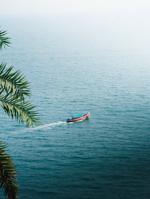 Motorboat on Water near Shore