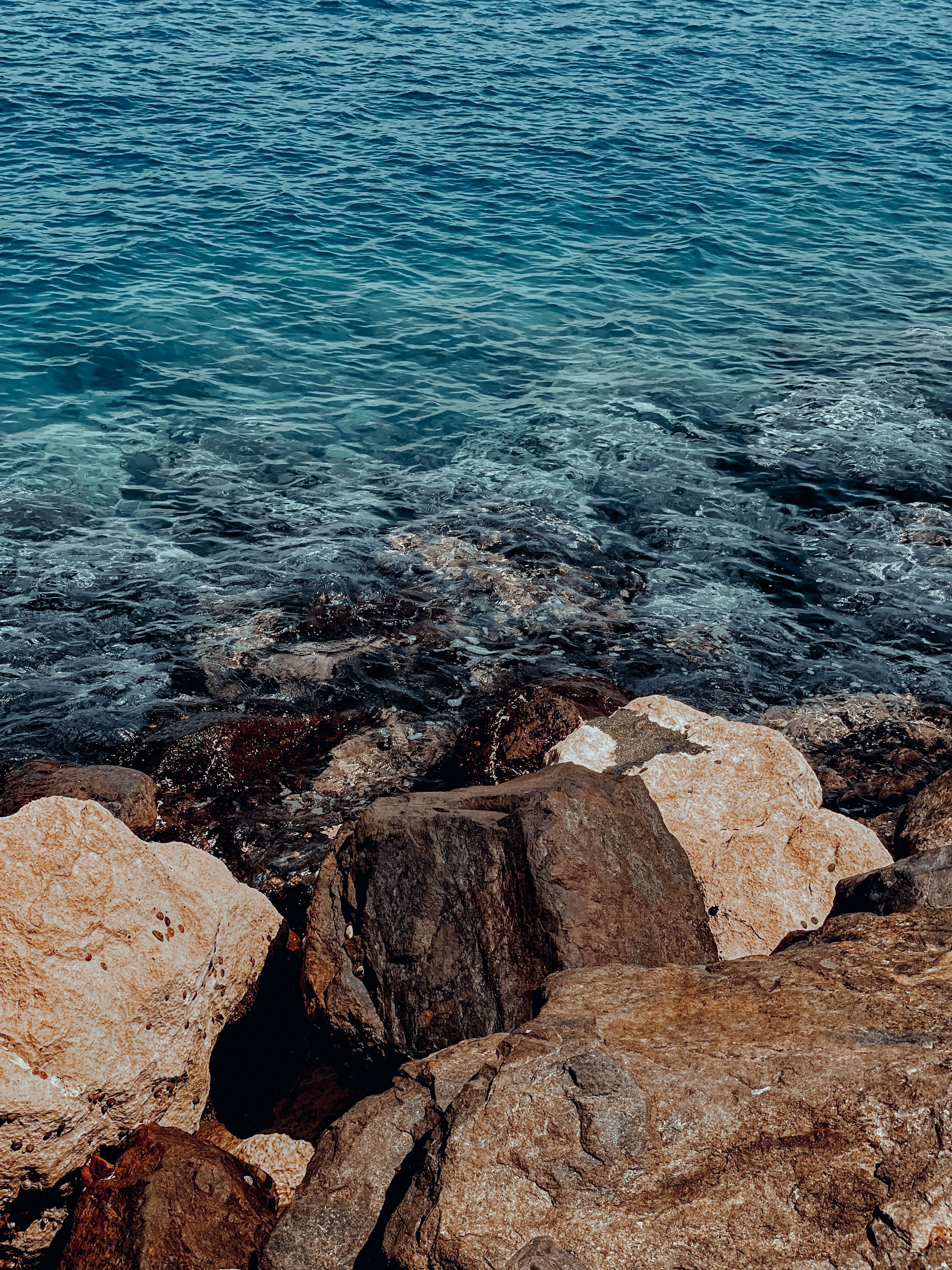 Close-up of Rocks on the Coast of the Sea · Free Stock Photo