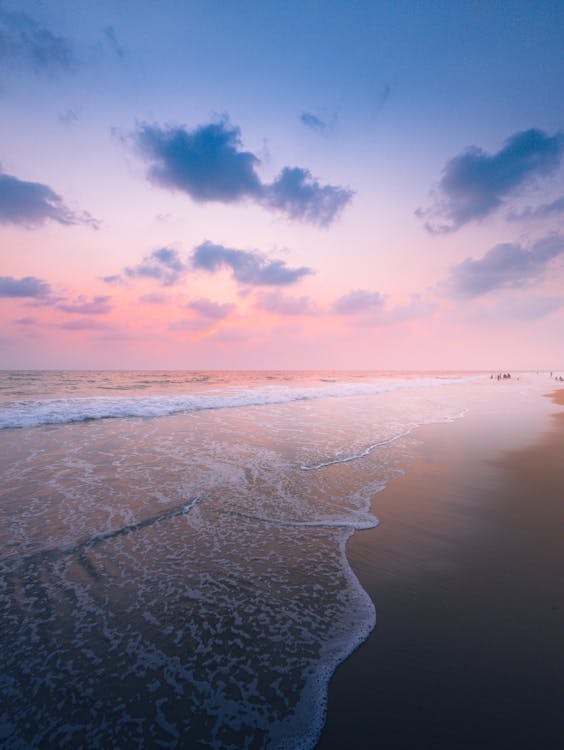 Foto profissional grátis de água, areia, céu rosa