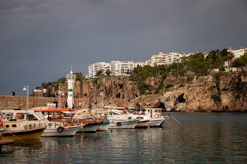 Fotos de stock gratuitas de amarrado, antalya, arboles