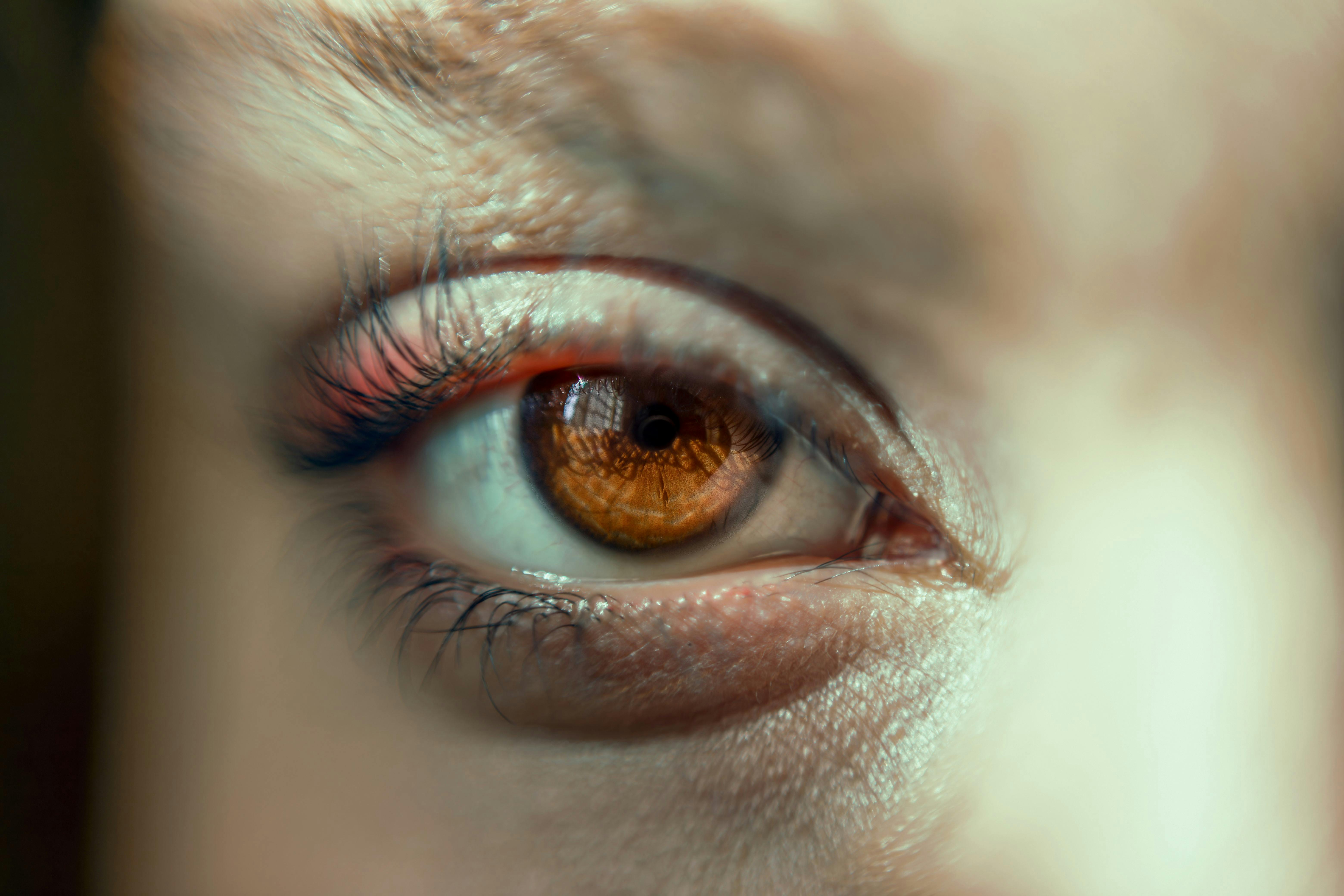 Close-up Photo of a Womans Brown Eyes · Free Stock Photo