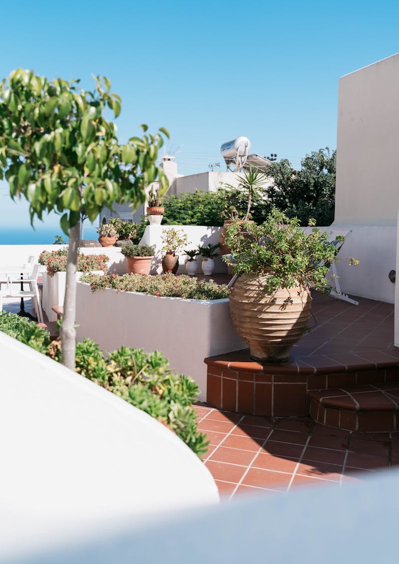 Tropical Planter Display