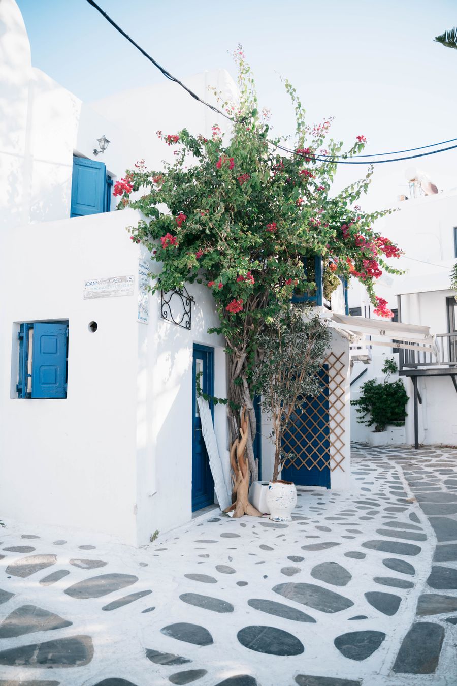 Arquitetura branca e azul com buganvílias em Santorini