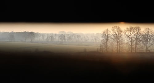 Gratuit Imagine de stoc gratuită din arbori, peisaj, răsărit de soare Fotografie de stoc