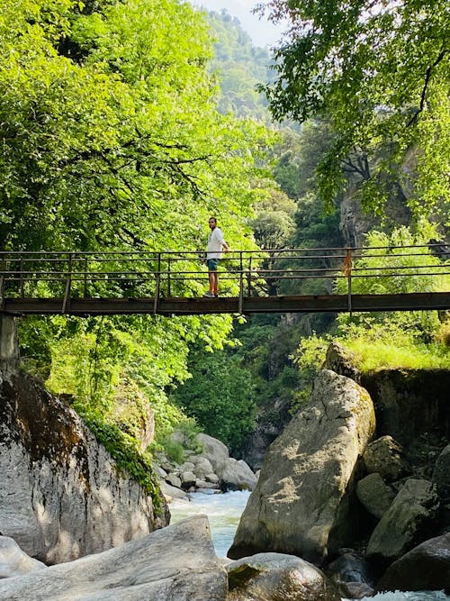 Foto stok gratis gunung hijau, jembatan kaki, lembah sungai
