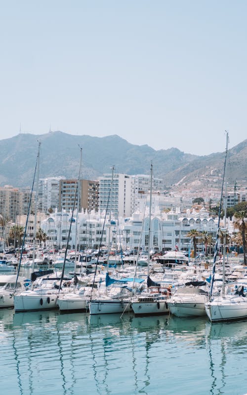 Yachts in a Harbor