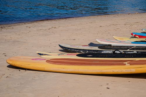 Free Row of vibrant surfboards aligned on a sandy beach, perfect for summer recreation. Stock Photo