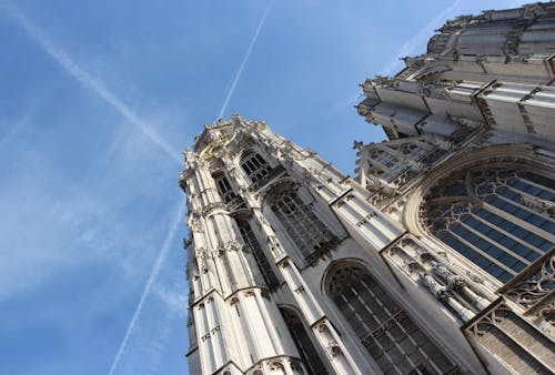 Kostnadsfri bild av antwerpen, blå himmel, katedral