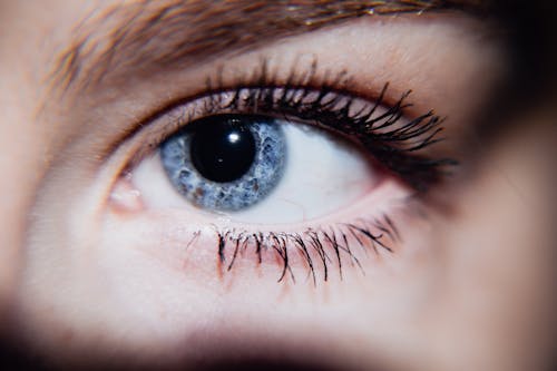 Free stock photo of blue, eye