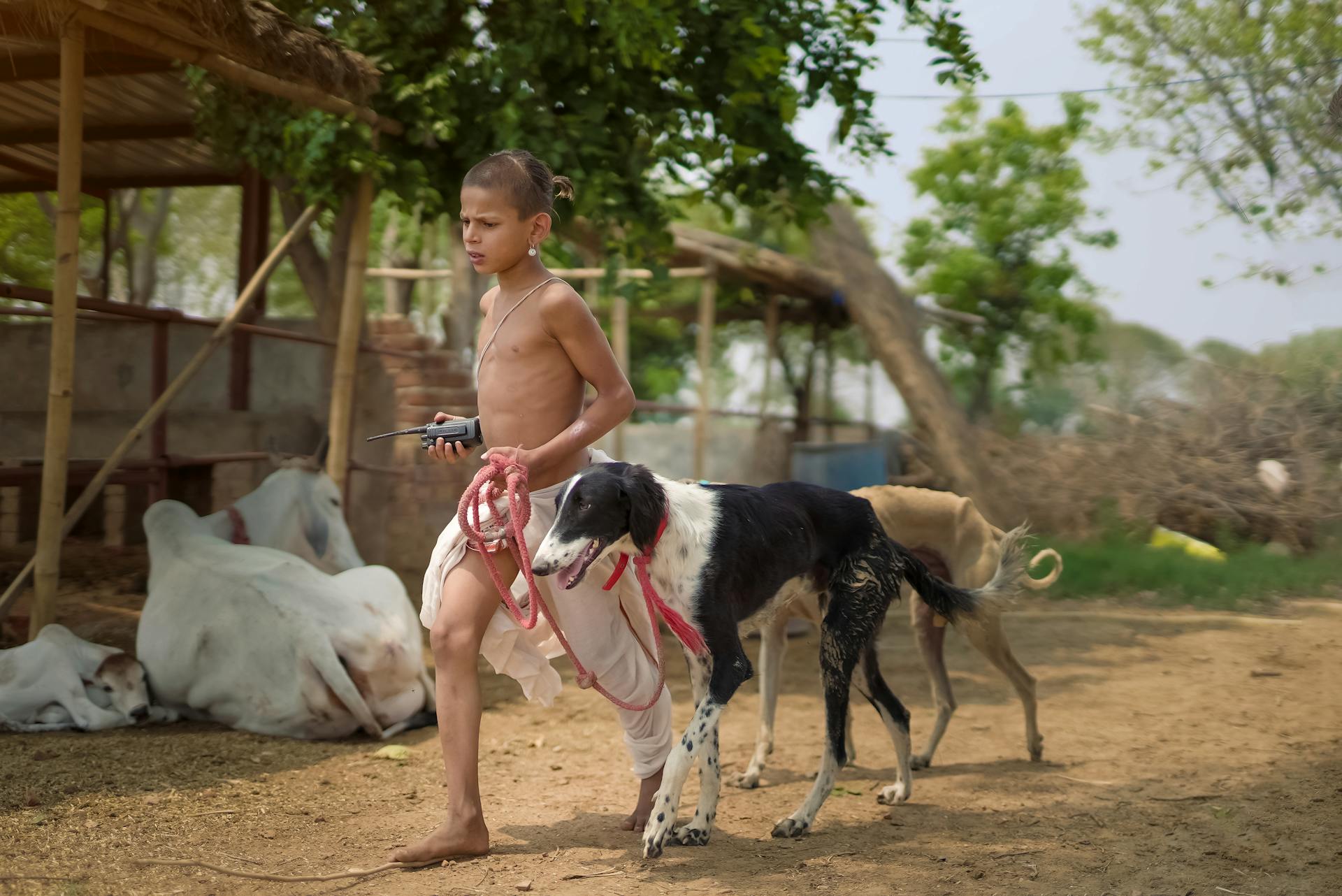 A Little Boy with Dog on a Farm