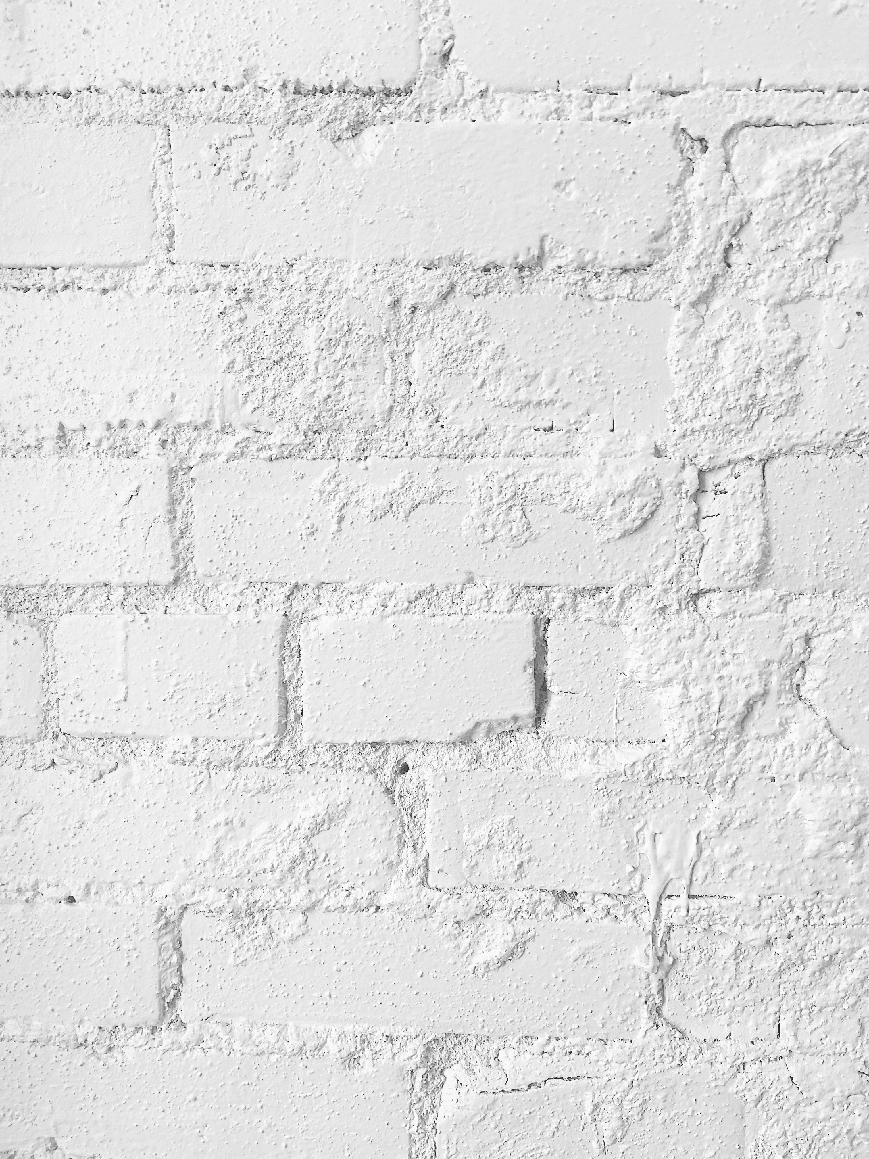 white-brick-wall-free-stock-photo