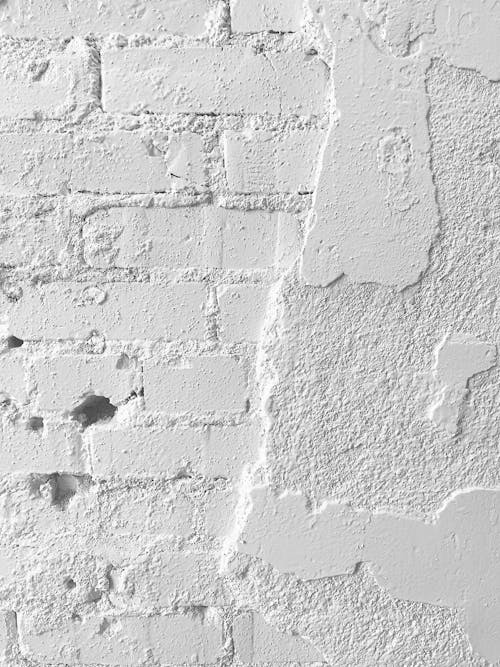 Free stock photo of brick, brick background, plain white background