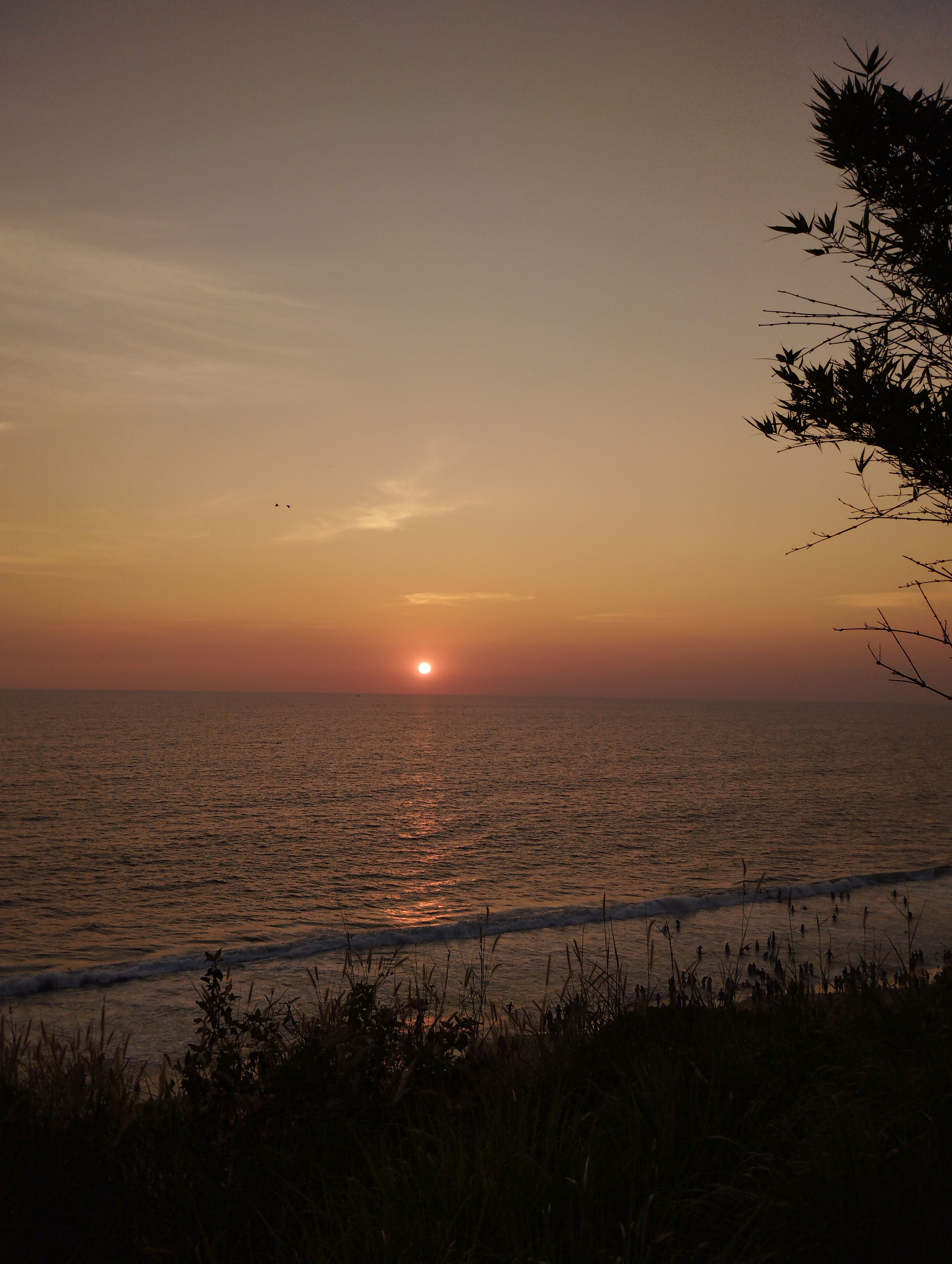 Kovalam + Varkala Beach Honeymoon Kerala Honeymoon Package Holiday Vibez