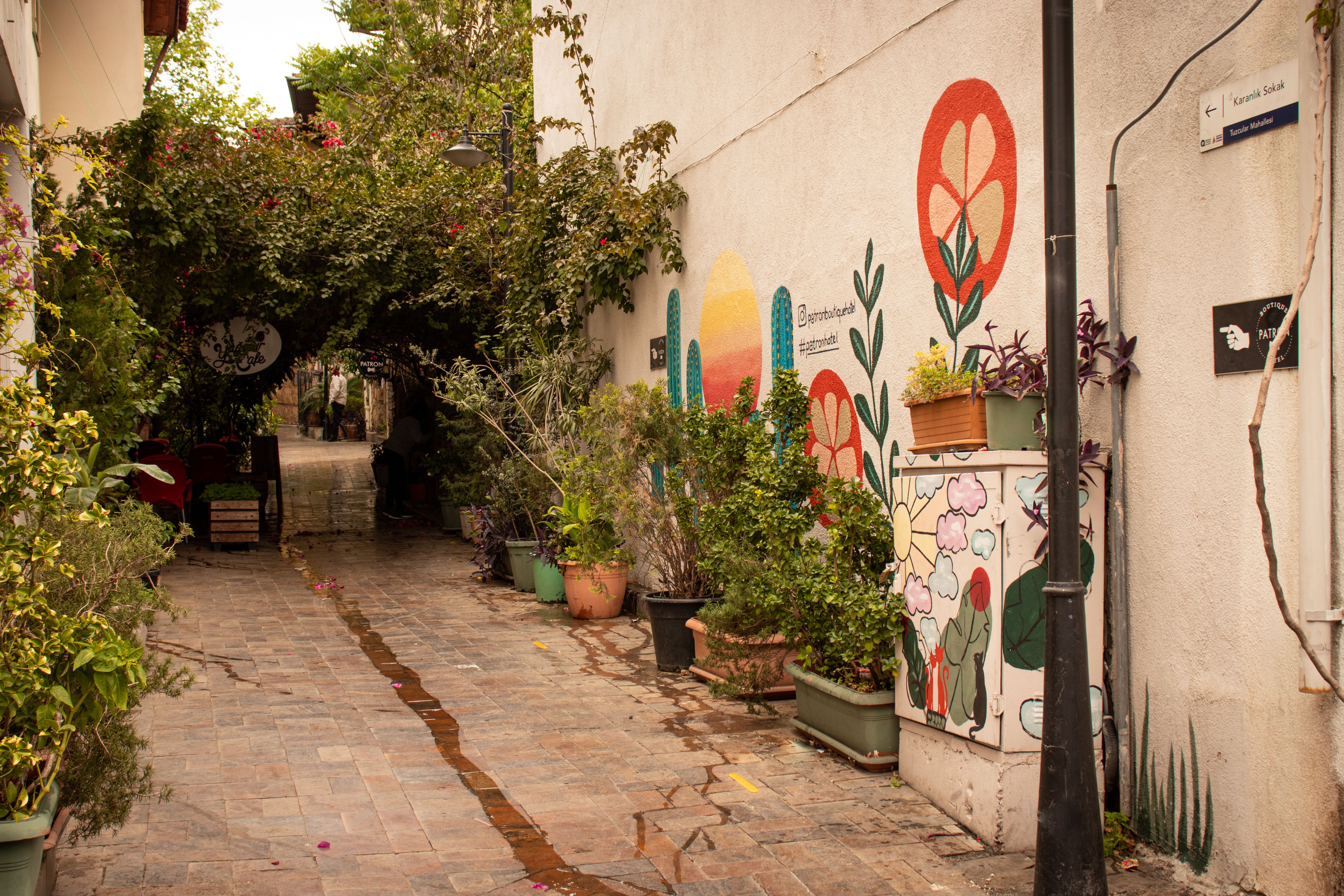 Explore a vibrant urban alley with colorful street art and lush plants, perfect for a charming city walk.