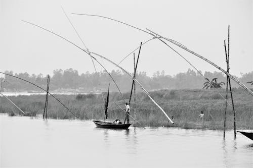 Immagine gratuita di barca, bianco e nero, canna da pesca