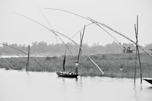 Foto profissional grátis de barco, gôndola, homem