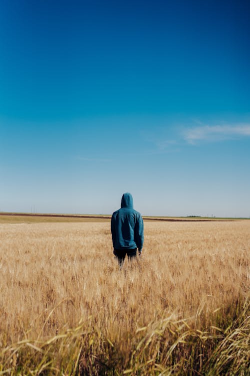 Gratis stockfoto met achteraanzicht, akkerland, blauwe lucht