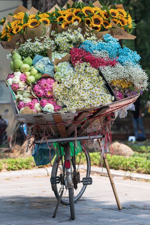 Gratis stockfoto met bloemen, deel, fiets
