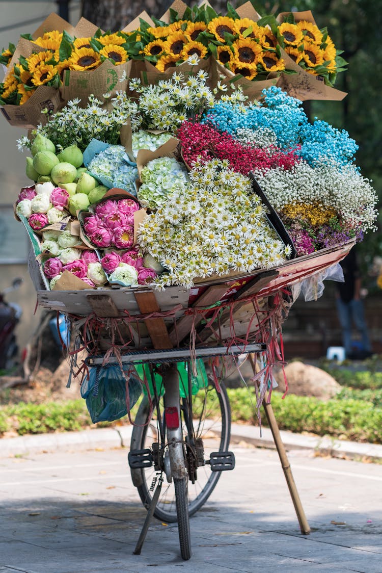 Flowers Selling On Bicycle