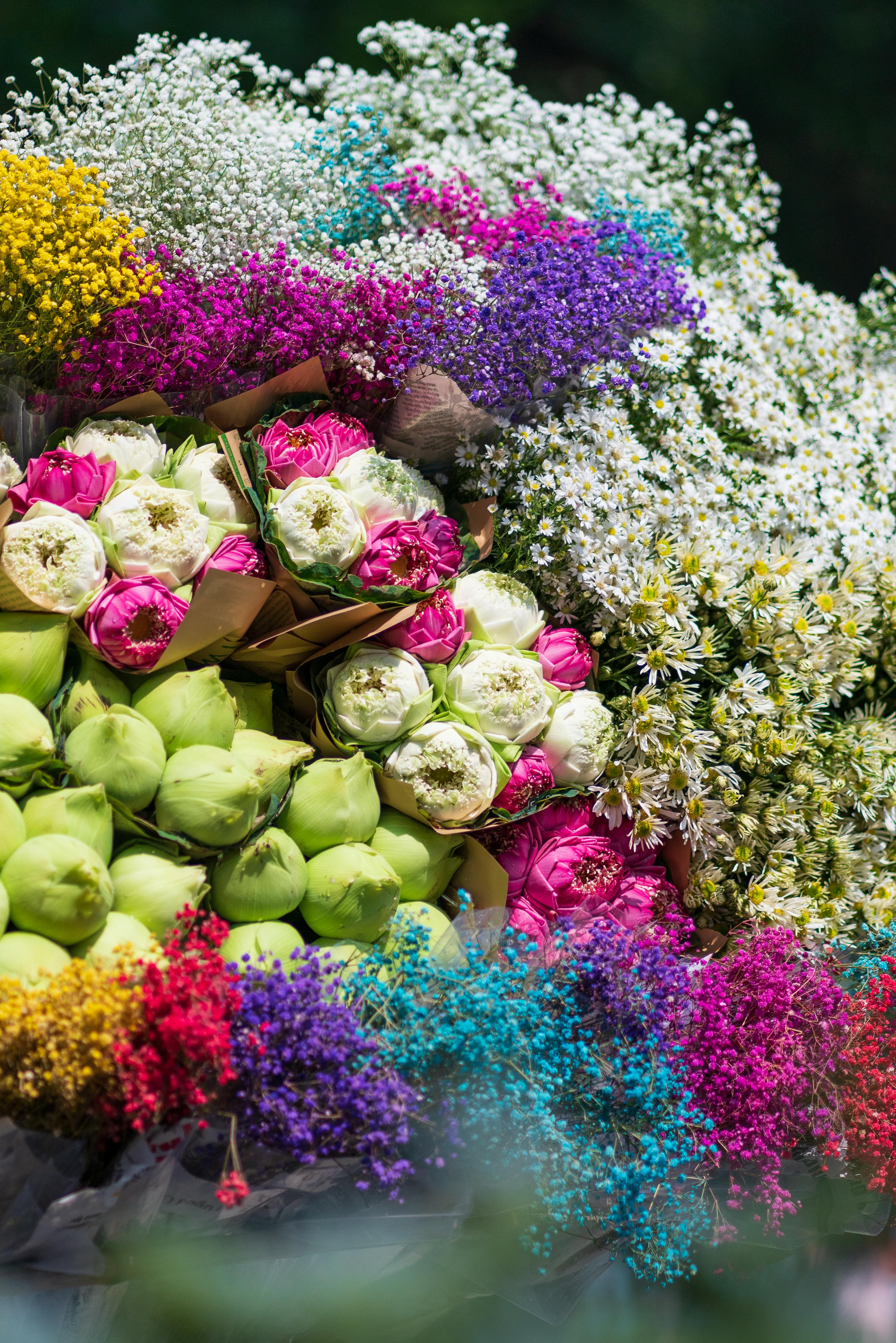[ColoSach]-a-colorful-bouquet-display-at-hà-nội's-iconic-flower-market,-showcasing-a-variety-of-vibrant-flowers.