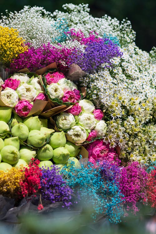 Colorful Bouquets of Different Kinds of Flowers 