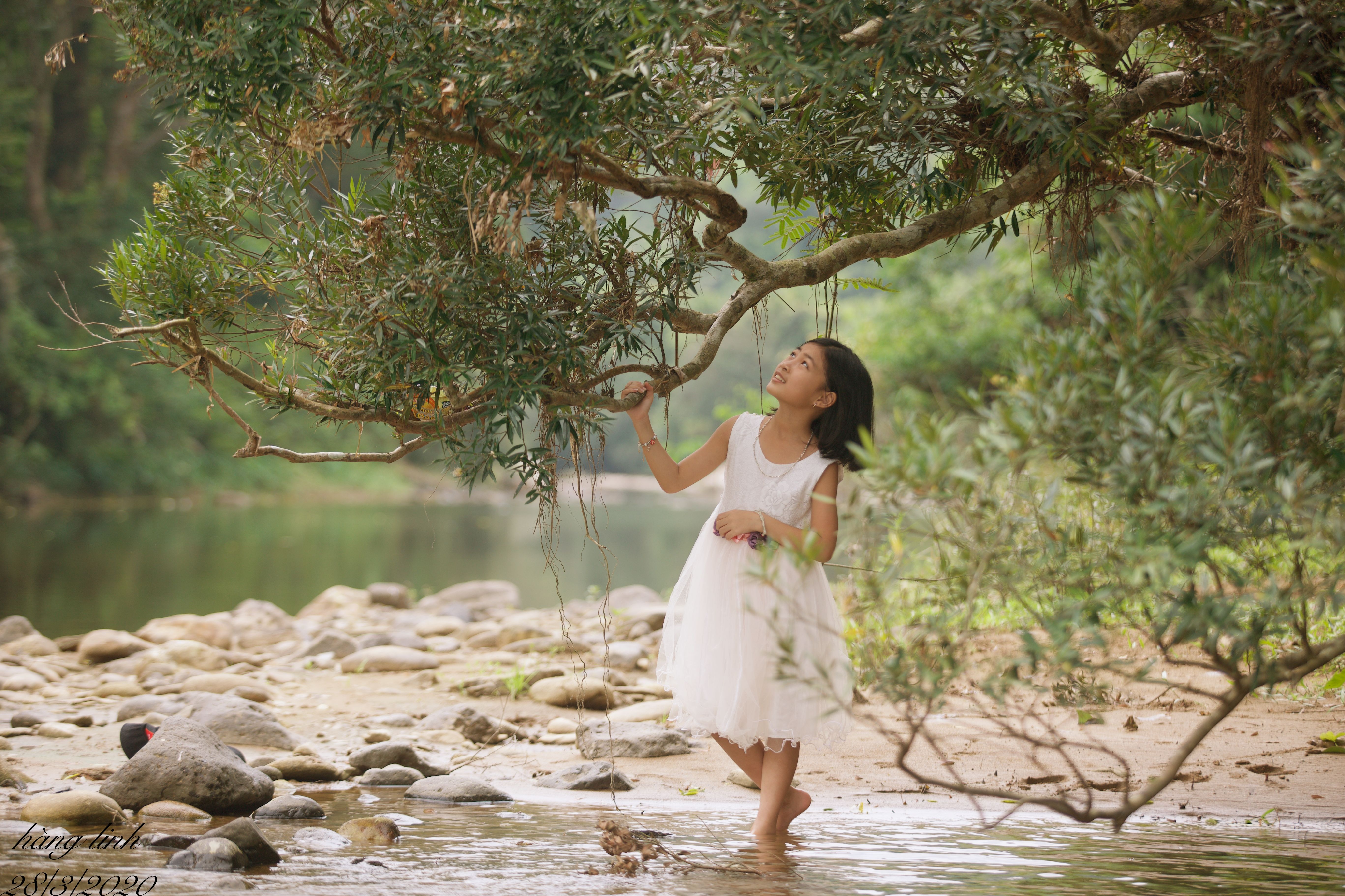 Girl in White Dress Posing under Tree Branch · Free Stock Photo