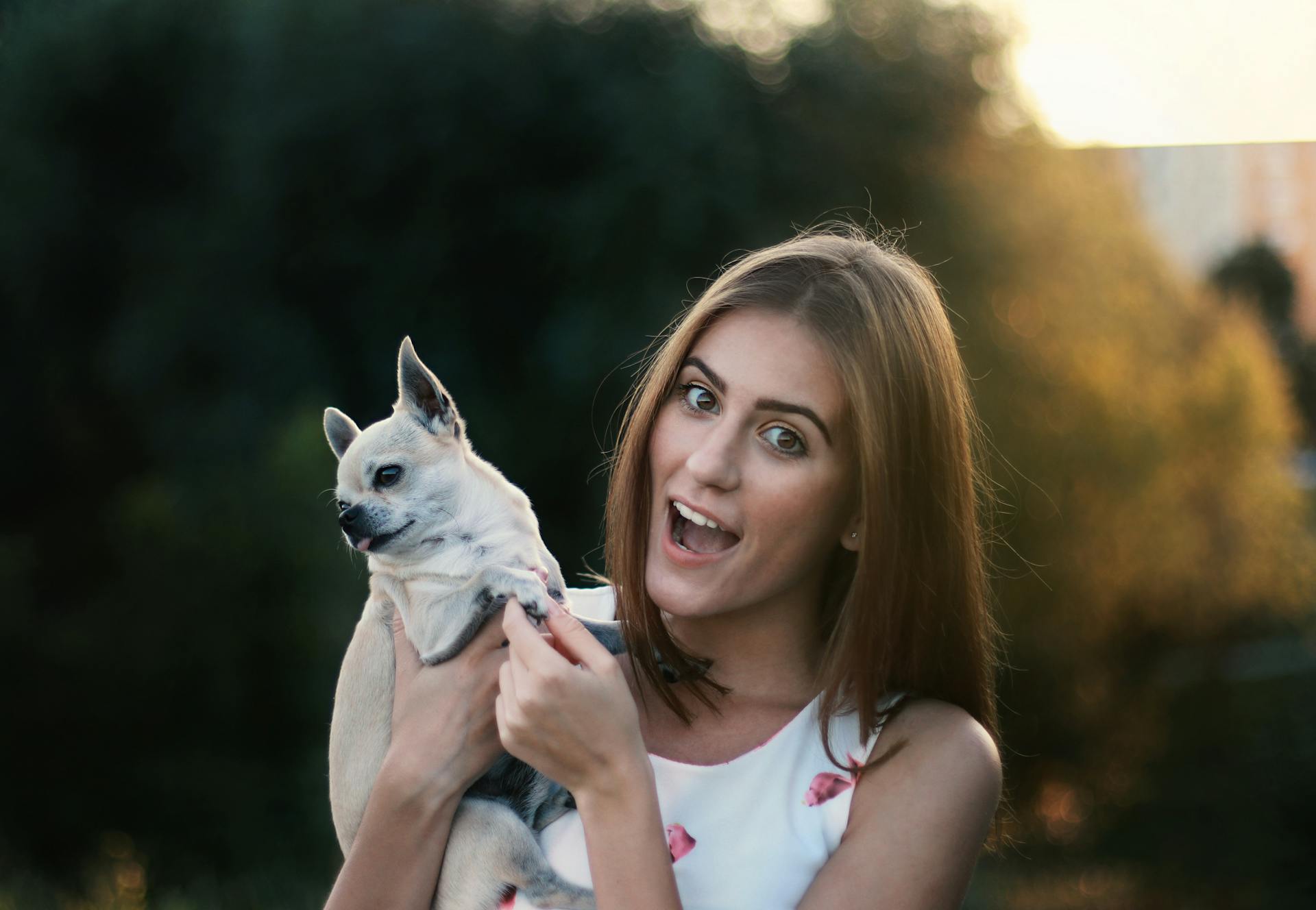 Une photo gratuite d'un amoureux des animaux, une belle fille, un chien