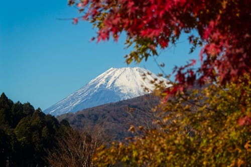 Gratis lagerfoto af japan, landskab, Mount fuji Lagerfoto