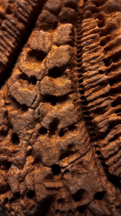 Free stock photo of 4k background, abstract, ancient Stock Photo