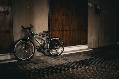 Bike near Wooden Door