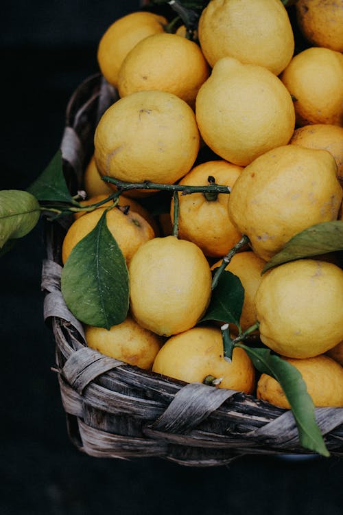 Free A Bunch of Lemons in a Basket  Stock Photo