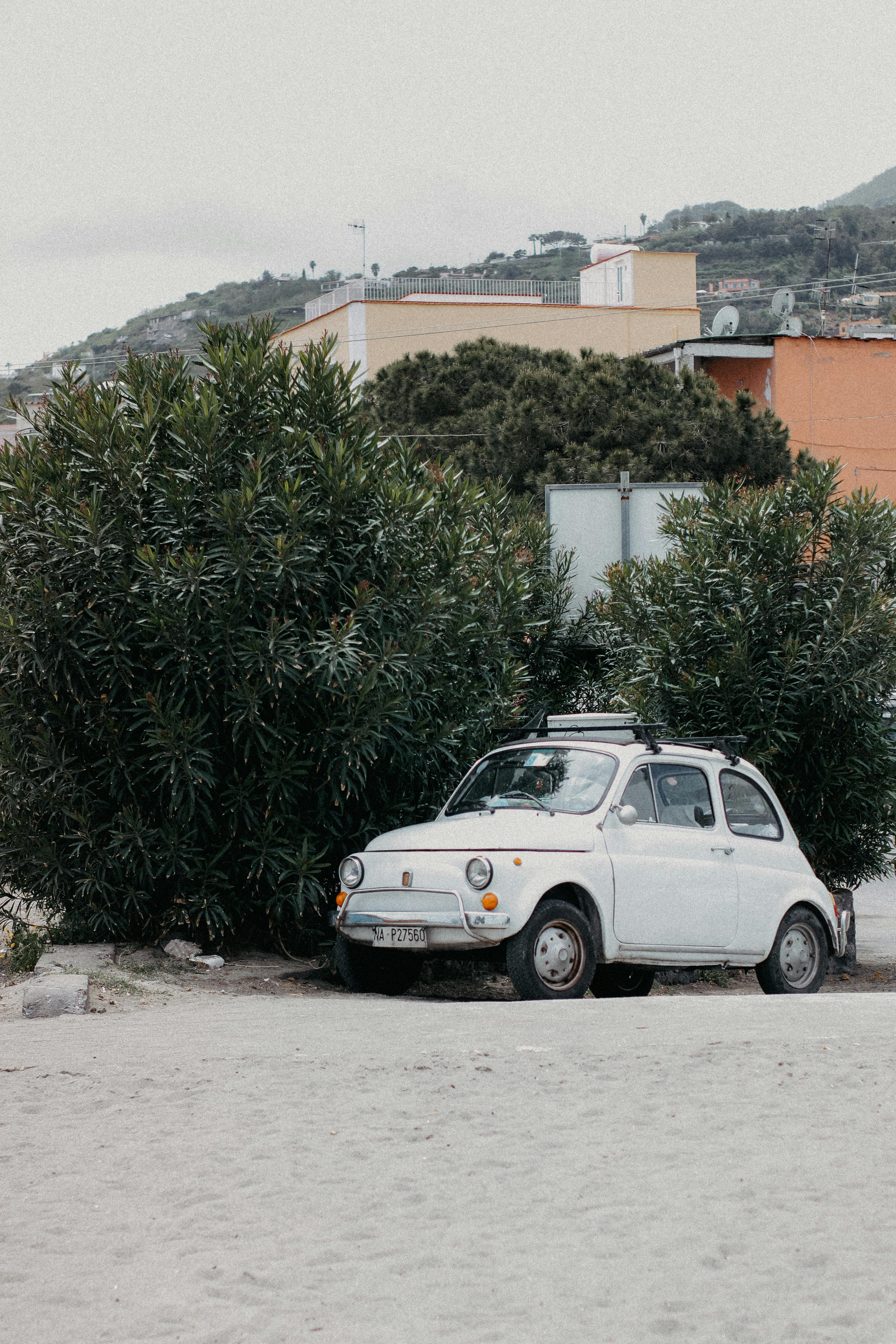 Vintage white car parked amidst lush greenery in a tranquil town area.