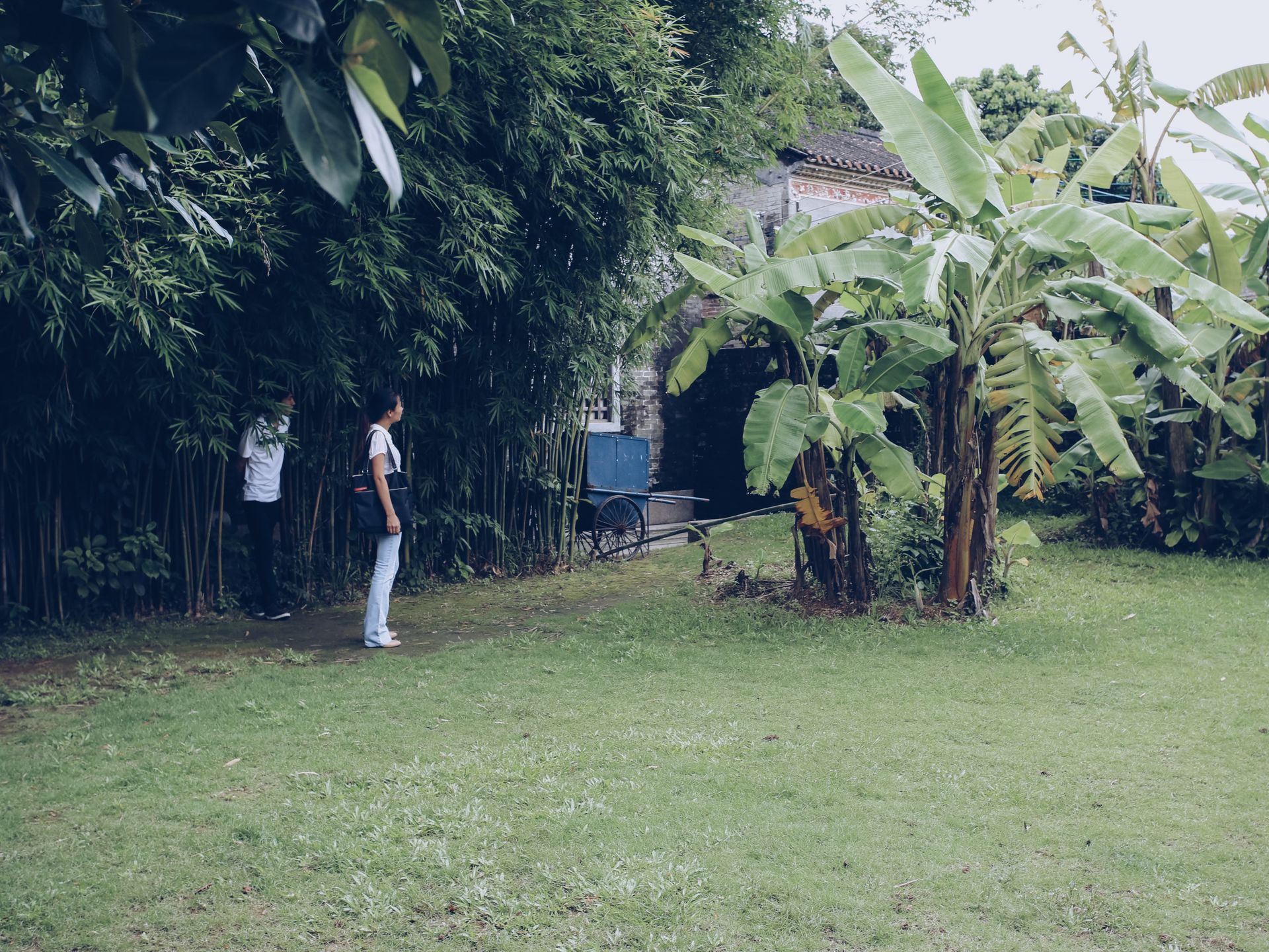 Two people in a lush tropical garden with bamboo and banana plants.