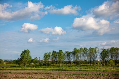 Darmowe zdjęcie z galerii z błękitne niebo, boiska, linia drzew