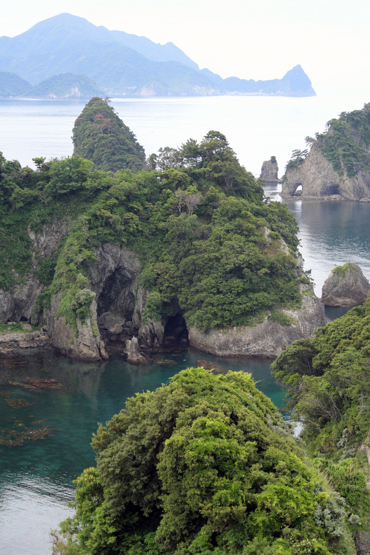 Lush greenery and dramatic rock formations along the Nishi-Izu coast in Shizuoka Japan