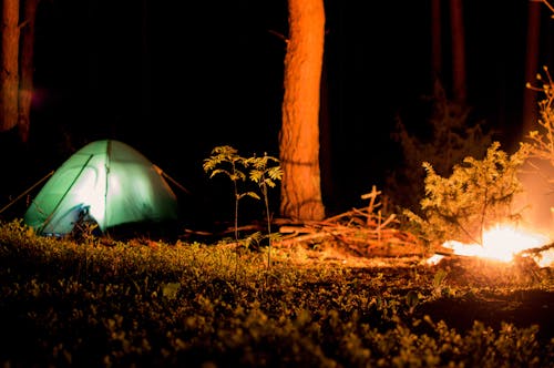 Tent in Forest next to Campfire at Night