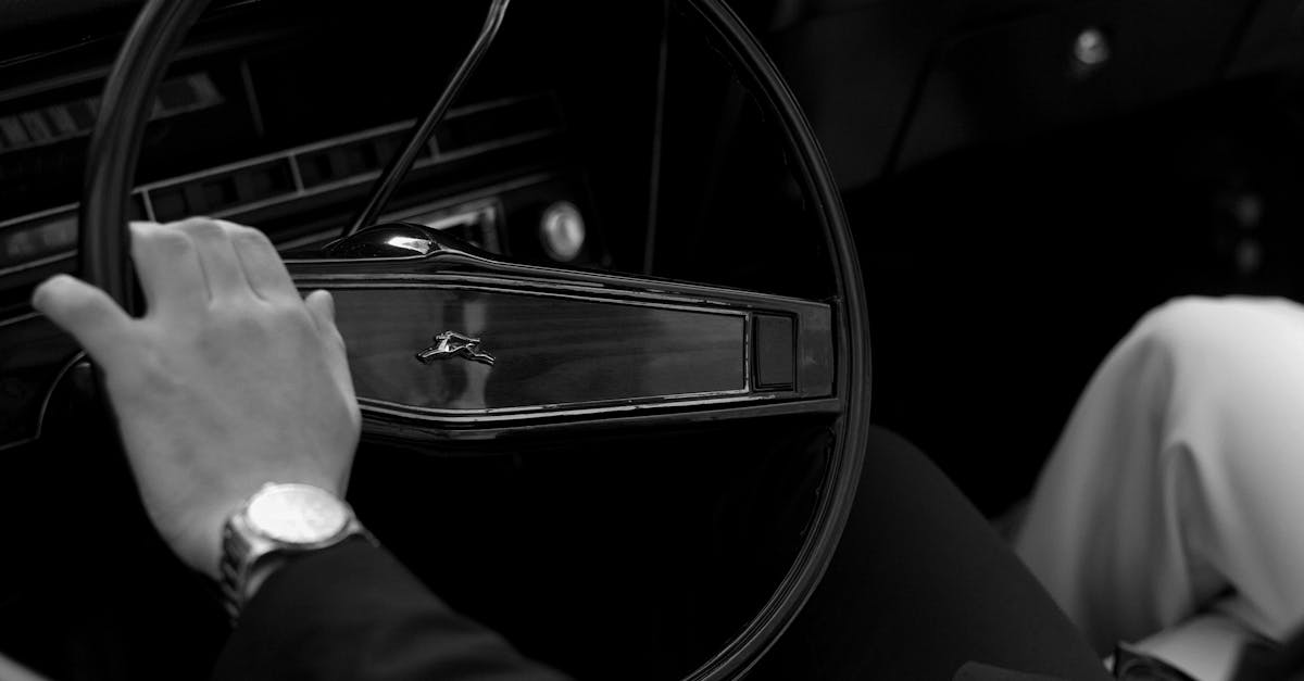 The Best Safari Experiences in Tanzania vs. South Africa