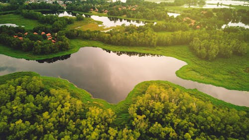 Aerial Photography of Water Formation Surrounded by Green Trees
