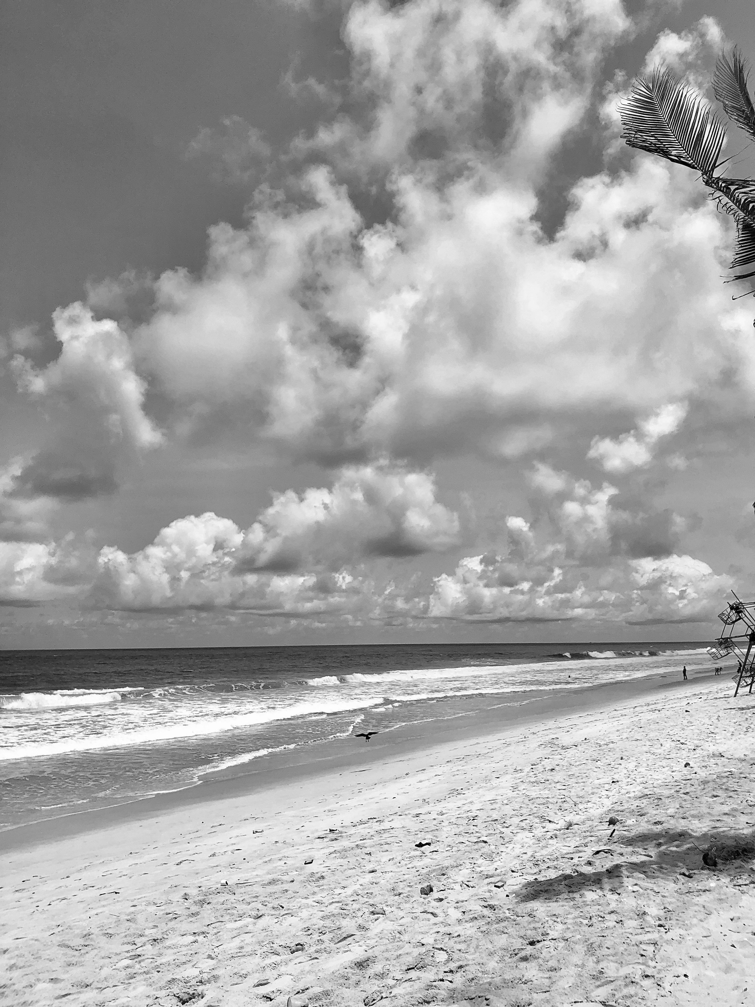 black and white beach images