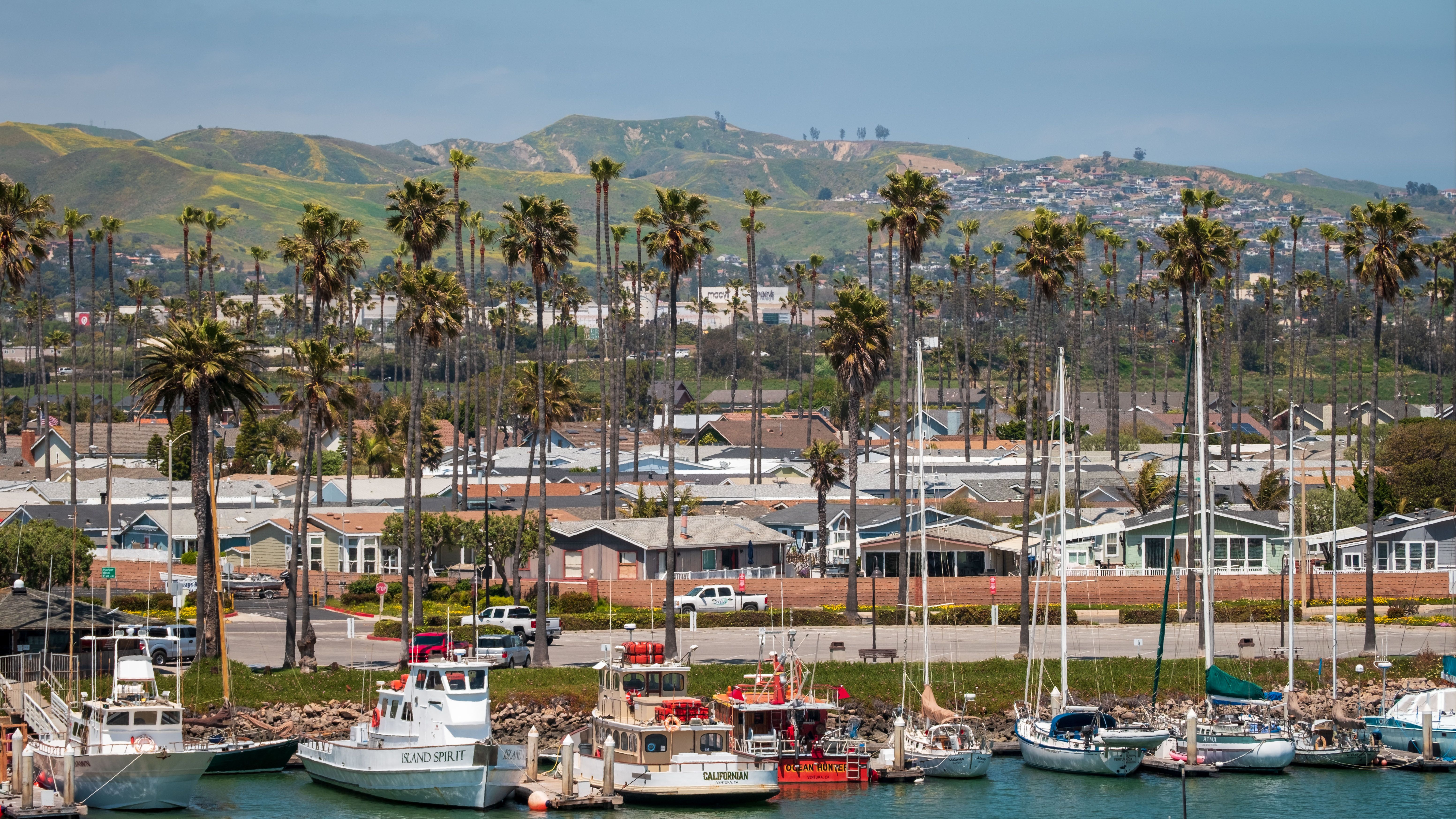Vibrant coastal town with moored boats, palm trees, and rolling hills under a clear sky.