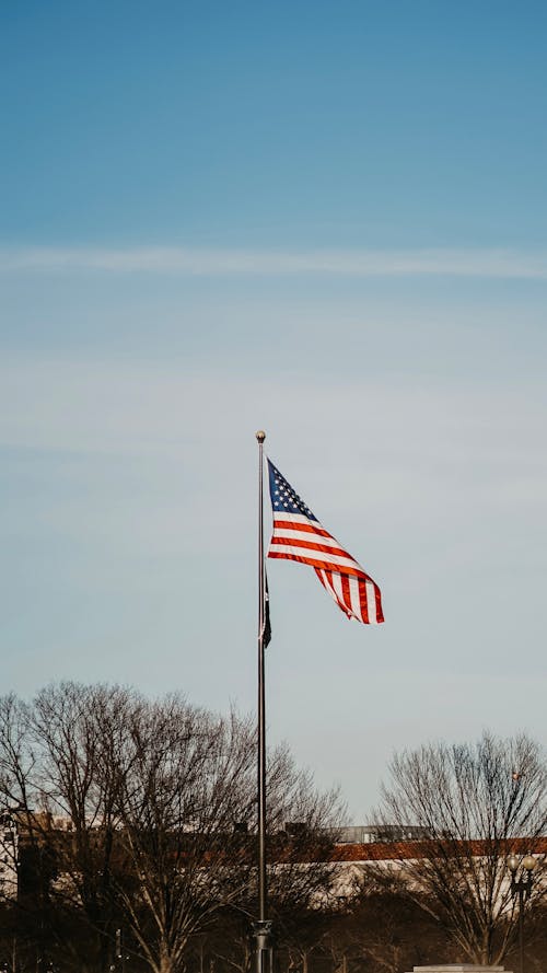 Amercain Flag and Trees